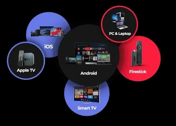 To get the most out of your subscription, compare the Golden OTT pricing packages below